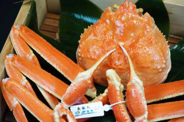 [兵庫/但馬]介紹湯村溫泉的螃蟹美食！來品嚐代表冬天的味道「松葉蟹」吧！