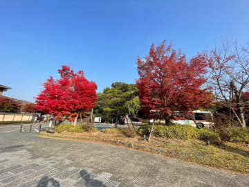 CEC日記[京都/嵐山]「我是花園和自然。」重新審視自己的秋葉之旅