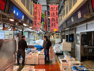 橫濱市中央批發市場的特別探險行程！親身享受拍賣競標與海鮮美食