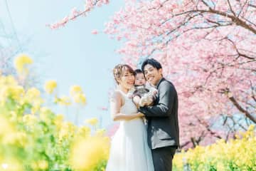 非常適合拍照！ ！介紹日本各地的河津櫻花名勝