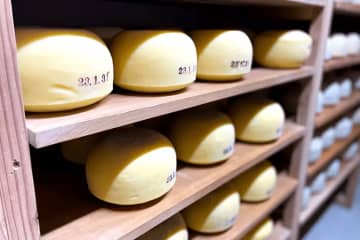 兵庫丹波非常受歡迎的美食！隆重介紹榮獲日本第一的精美乳酪