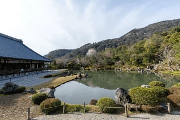 在嵐山地區的世界遺產天龍寺享受特別的坐禪體驗。