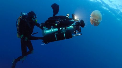 【專訪】潛入8k世界：水下攝影師pawel-achtel暢談高解析度影像拍攝新紀元