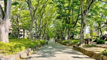 武藏一宮冰川神社相親！ ！冰川神社的力量