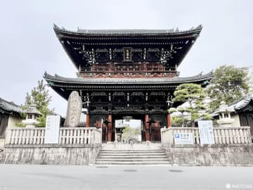 【京都】打造瑠璃光院的庭師新作：隱身在寺院裡的茶屋bhagavan嵐山