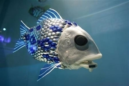 robo-fish