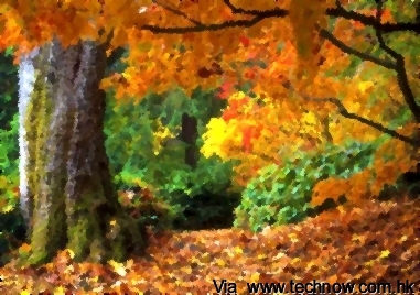 fall-of-autumn-leaves