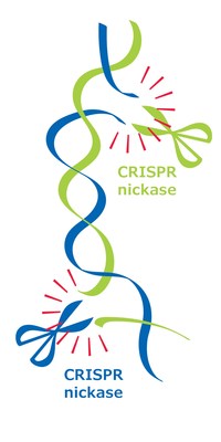 默克的基礎基因組編輯技術獲得澳洲CRISPR切口酶專利