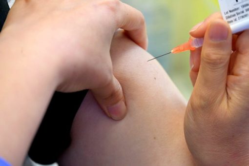 新冠疫苗累計接種量突破八百萬