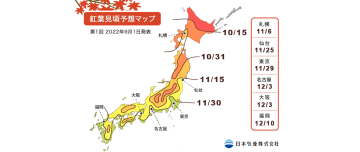 【2022年】最完整日本追楓資訊｜網羅由北到南24處賞楓景點