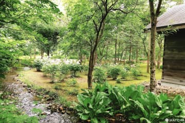 【北海道】走進花柄藝術的天地！帶廣「六花之森」初夏散步