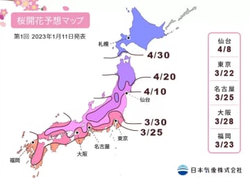 【2023年】櫻花前線！日本各地開花預測大公開！