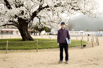 [福井縣越前市]校園裡的一棵櫻花樹持續開花超過 150 年