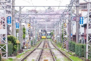 從池袋徒步可到！來雜司谷鬼子母神堂散步，體驗「老東京」文化