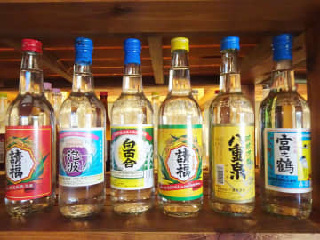 【沖繩酒】泡盛、ORION特色是什麼？關於沖繩酒的小知識一次掌握！