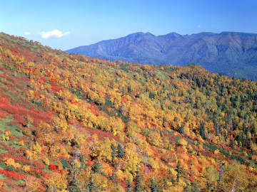 被美麗的秋天景色所感動！北海道5處賞楓景點