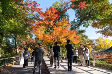 [2023年秋季]還有時間！有一個可以私人欣賞京都紅葉的旅行！