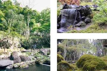 [靜岡/修善寺溫泉]擁有美麗日本庭園的溫泉旅館“Sora SORA Togetsuso Kinryu”