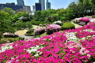 [兵庫/神戶]在日本庭園「相樂園」悠閒漫步，欣賞美麗的紅葉和有形文化財產！