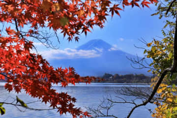[山梨]富士山麓河口湖的紅葉節“富士河口湖紅葉節”