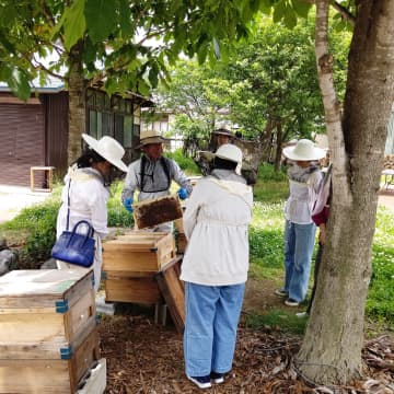 【會津】觀蜂了解蜜蜂未知生態