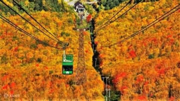 欣賞日本的秋天楓葉的巴士一日遊8選