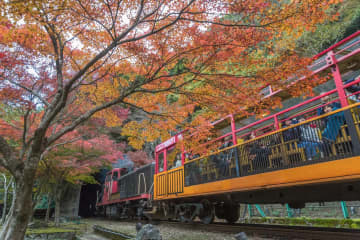 [京都/紅葉]京都推薦景點指南！秋天來搭乘嵯峨野電車吧！