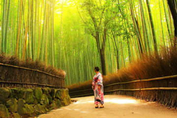 【2023】竹林小路、渡月橋！京都嵐山必去景點、體驗、交通資訊匯整