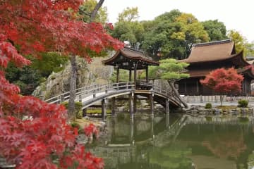 米其林綠色指南二星級「神戶窯」繪畫體驗與日本傳統文化「茶道」×美濃燒新「陶器」體驗之旅