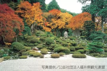 【石川/富山/福井】福井縣的紅葉景點｜2023年版