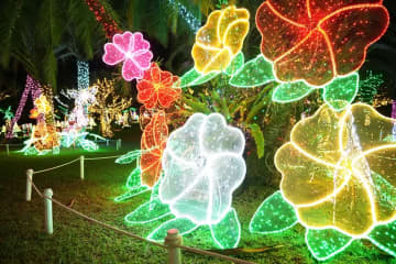 讓我們一起享受沖繩的夜晚吧！ 「沖繩熱帶燈飾2023-2024」將在東南植物園舉辦